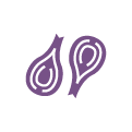šalotka