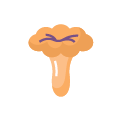 kuriatka (huby)