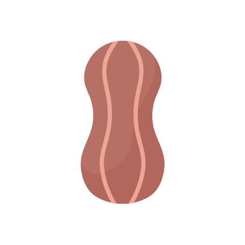 arašidy