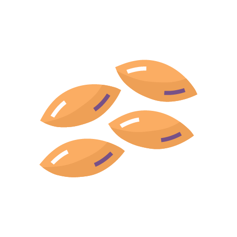 orzo