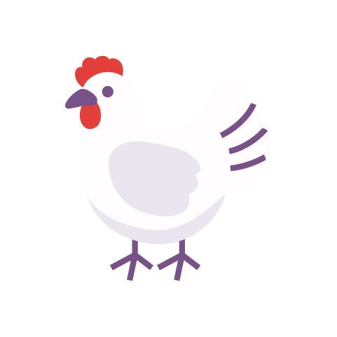 kuracie prsia