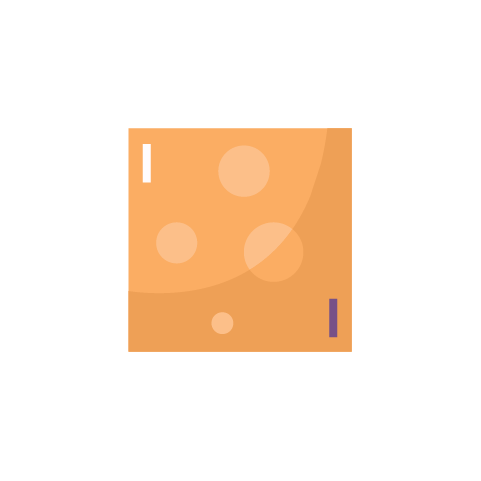 gouda