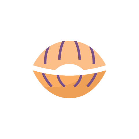 conchiglie