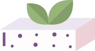 tofu