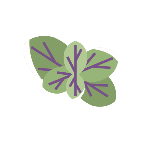 oregano