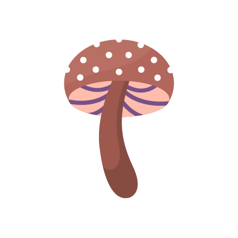 shiitake