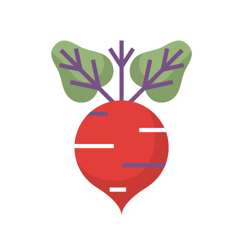 cvikla