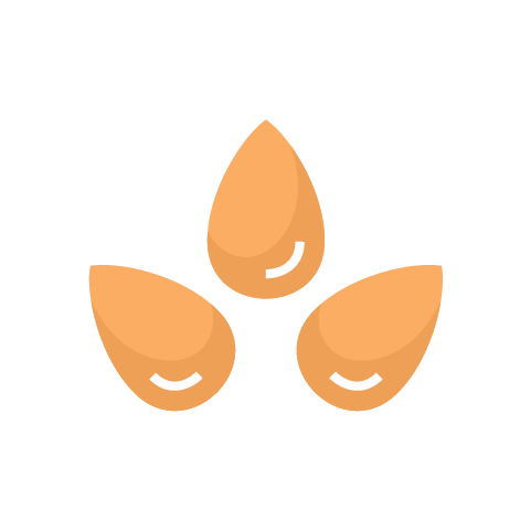 sezam