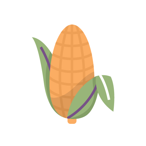 kukurica