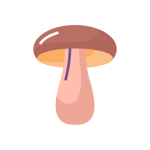hríb