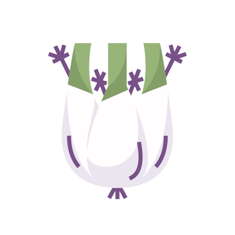 fenikel