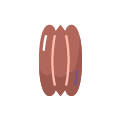 pekanové orechy